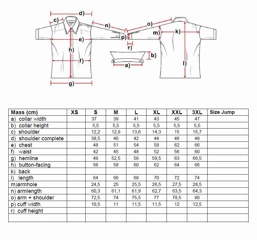 Caroline Ladies Western Blouse