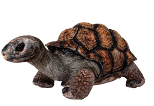 Desert Tortoise 18"