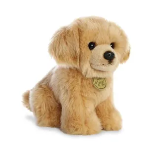 Golden Retriever Pup