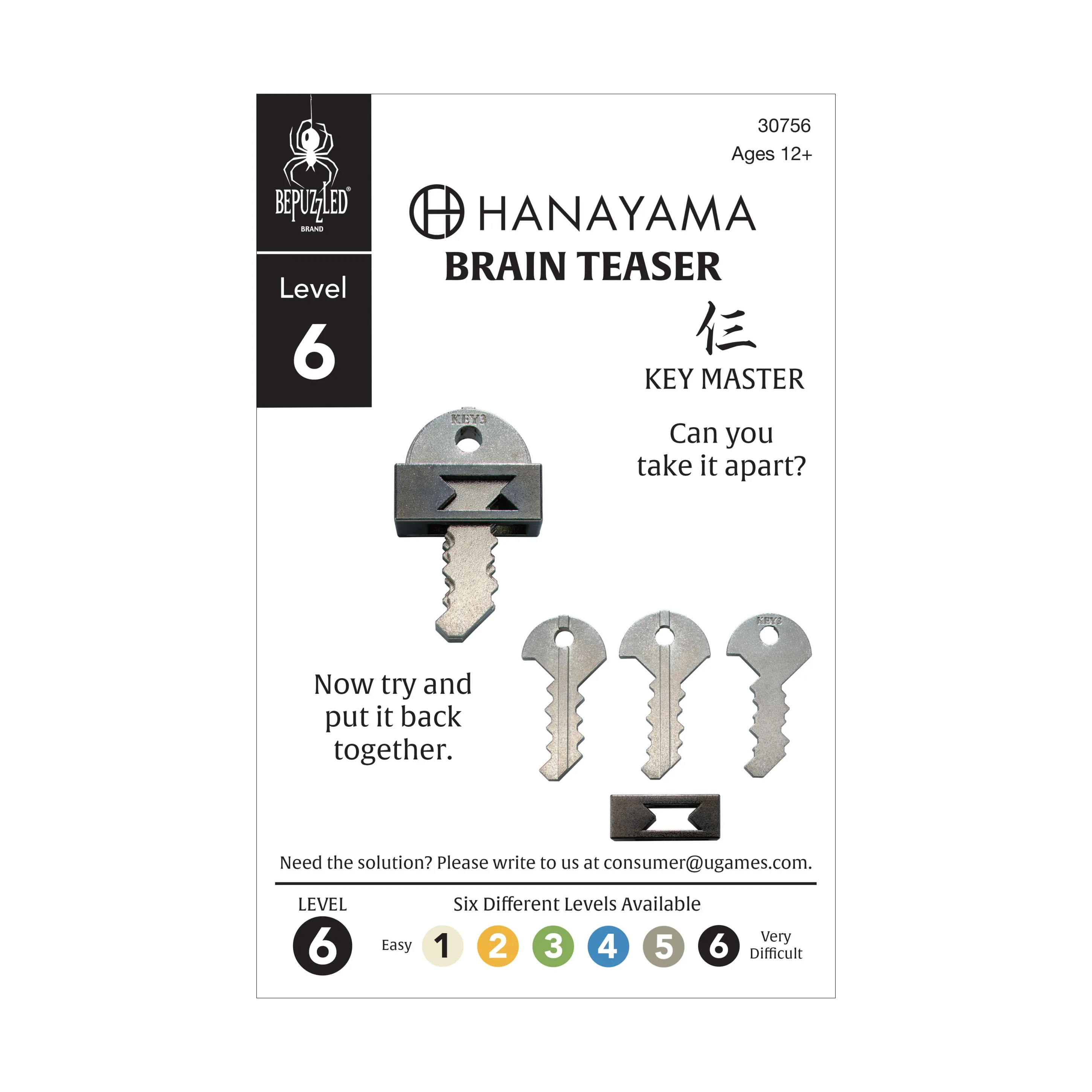 Hanayama Level 6 Cast Puzzle - Key Master Challenge