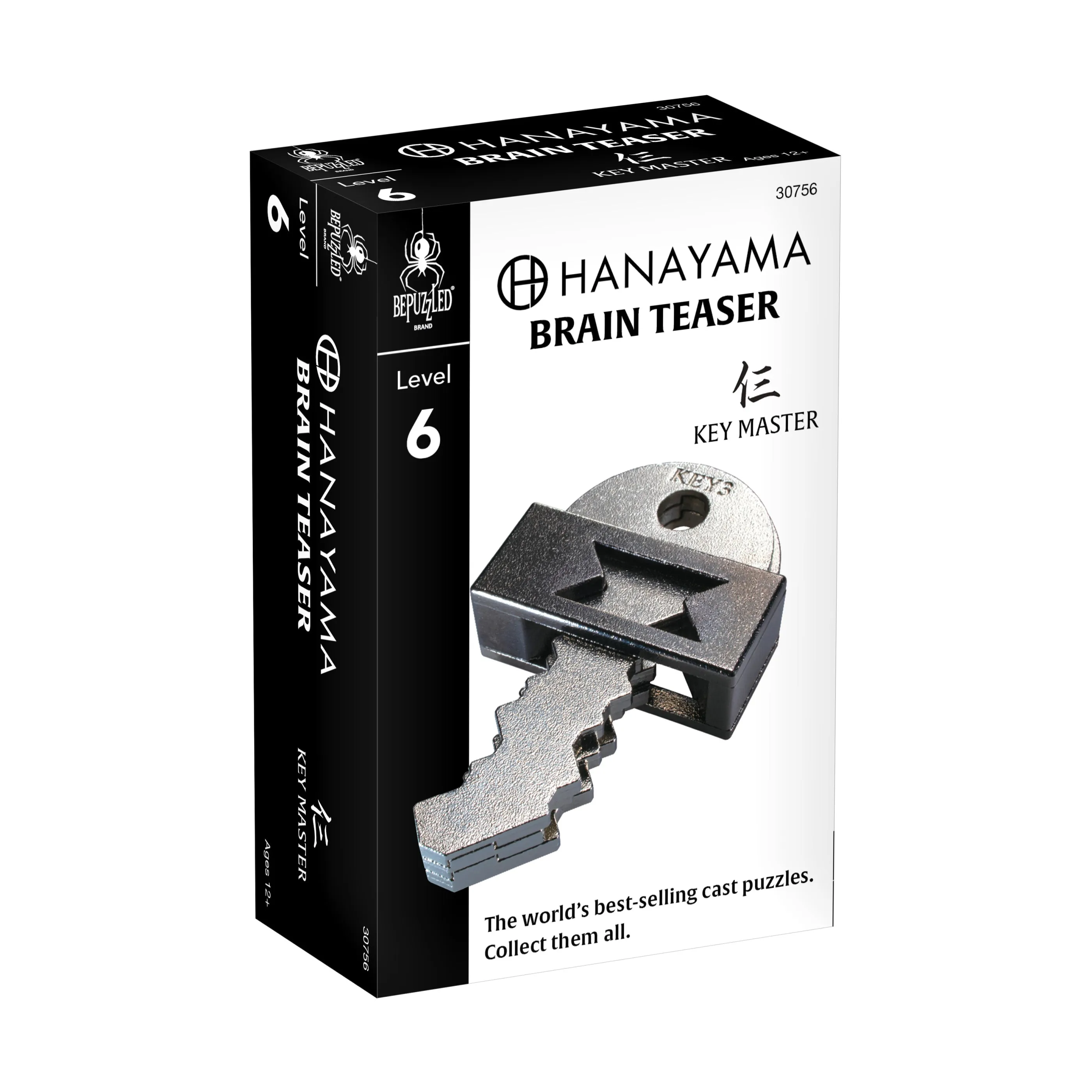 Hanayama Level 6 Cast Puzzle - Key Master Challenge