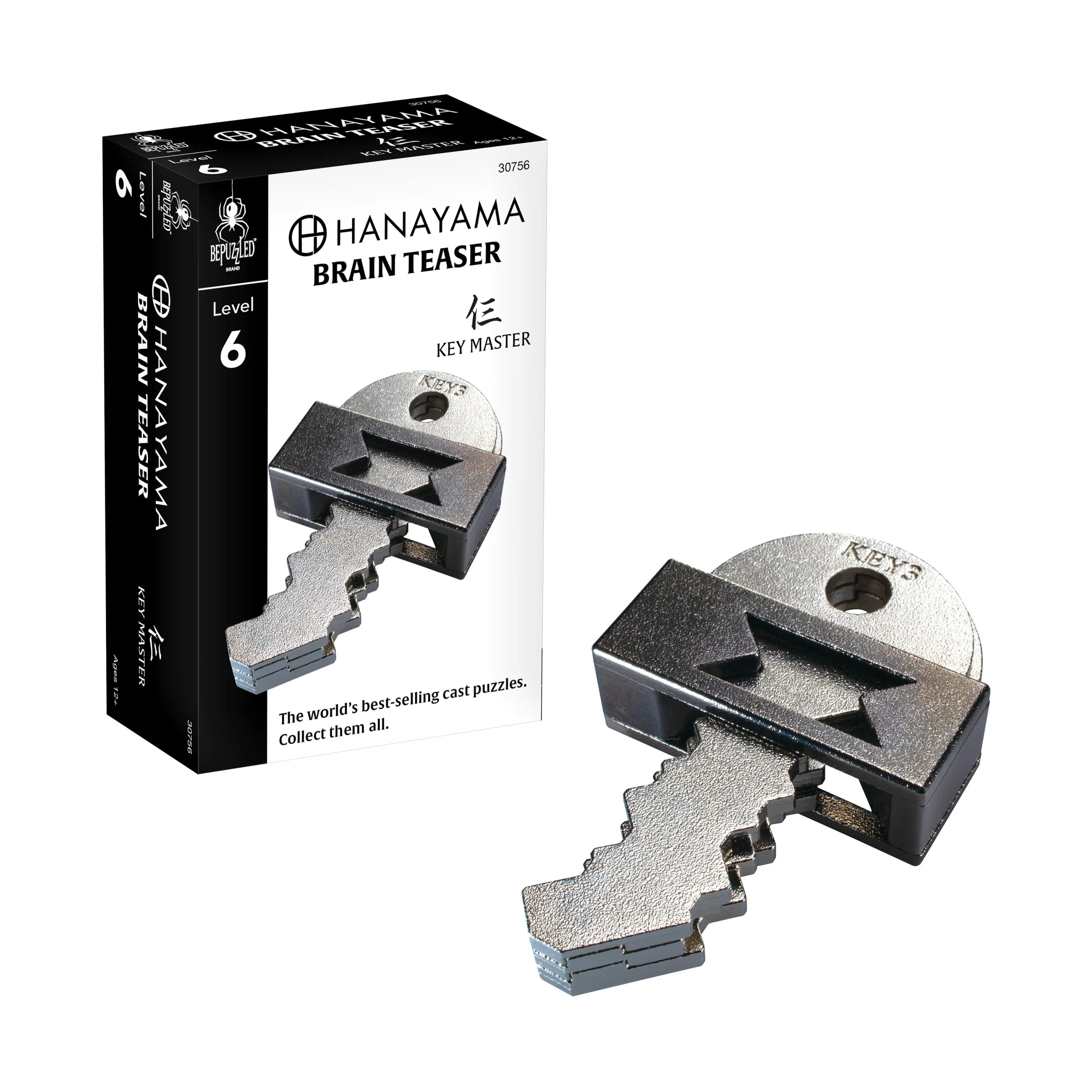 Hanayama Level 6 Cast Puzzle - Key Master Challenge