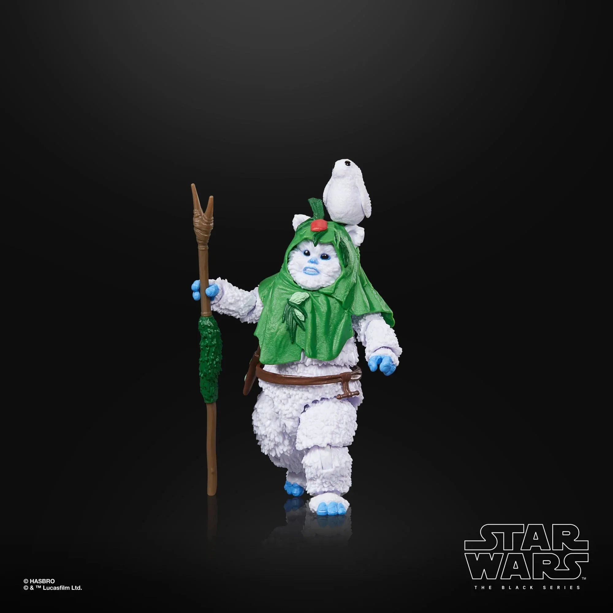 Hasbro Star Wars Black Series Ewok (Holiday Edition) 6 Inch Action Figure