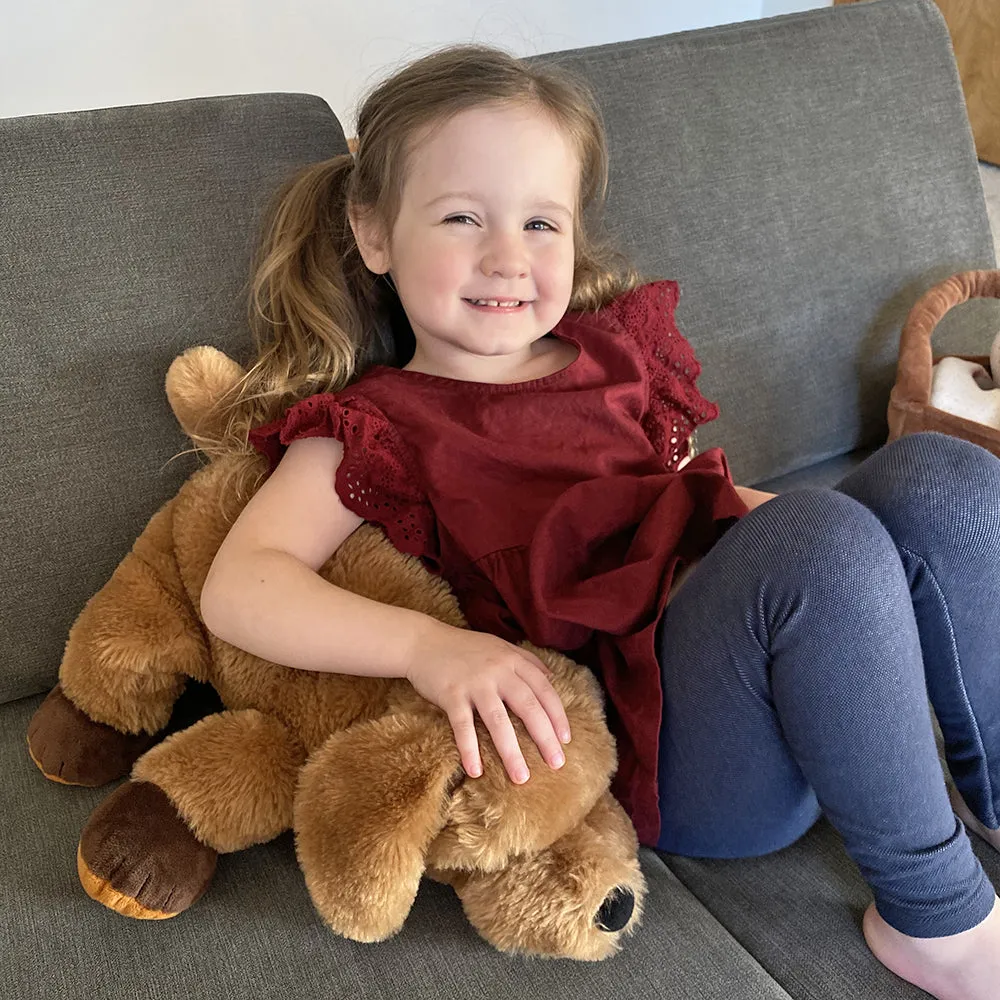 Roylco Theo | Weighted Therapy Dog for Comfort & Security