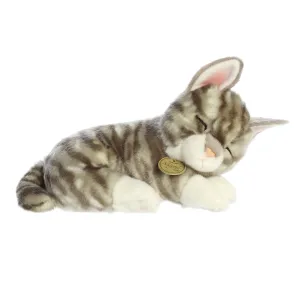 Sleepy Gray Tabby Kitten