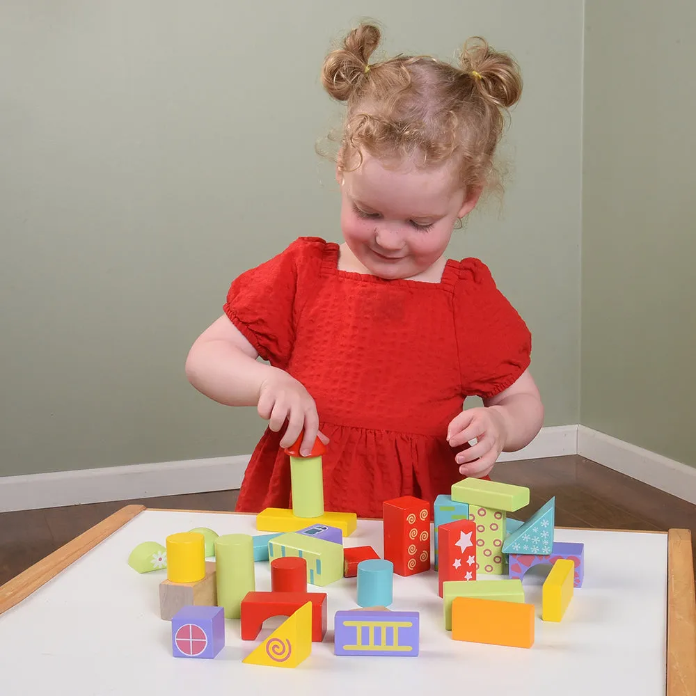 Stackers Mini Blocks