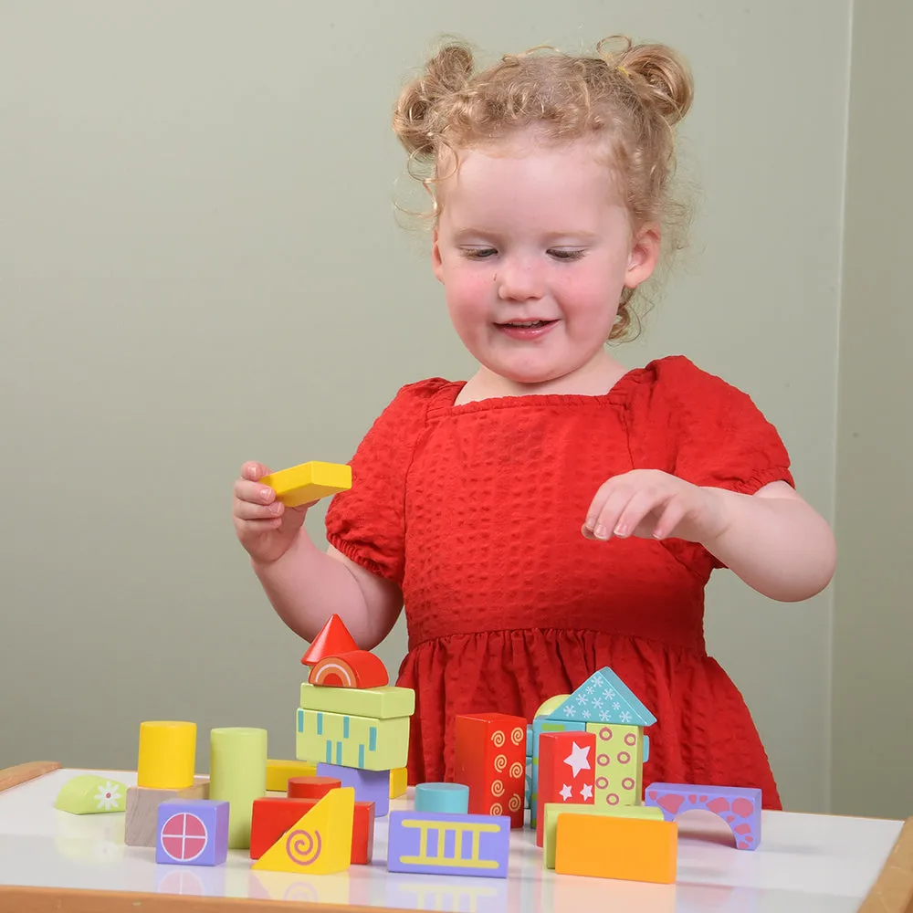 Stackers Mini Blocks