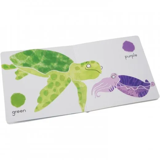 Wild! Math Concepts Book Set