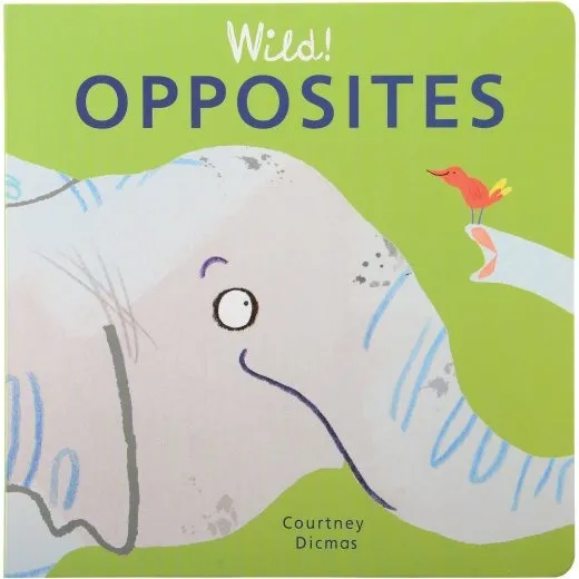 Wild! Math Concepts Book Set