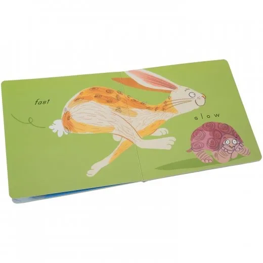 Wild! Math Concepts Book Set