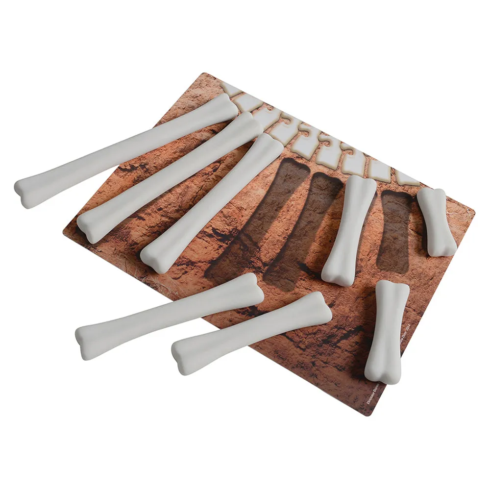 Yellow Door® Dinosaur Bones with Match & Measure Cards Exploration Set