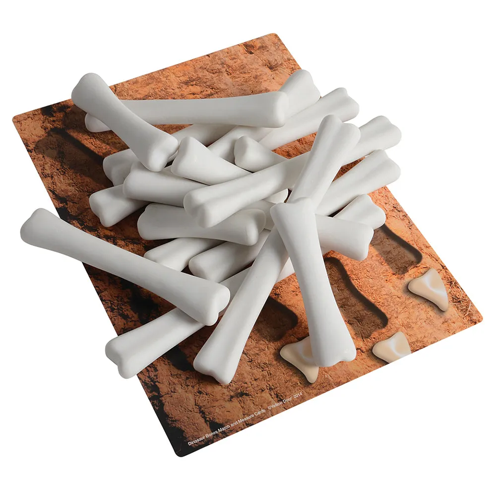 Yellow Door® Dinosaur Bones with Match & Measure Cards Exploration Set