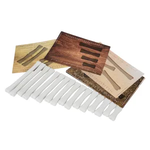 Yellow Door® Dinosaur Bones with Match & Measure Cards Exploration Set