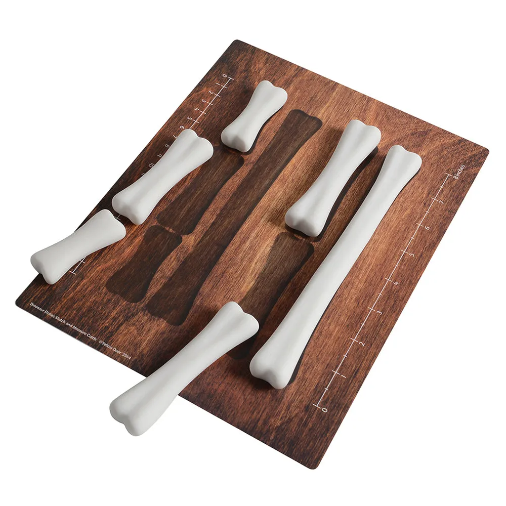 Yellow Door® Dinosaur Bones with Match & Measure Cards Exploration Set