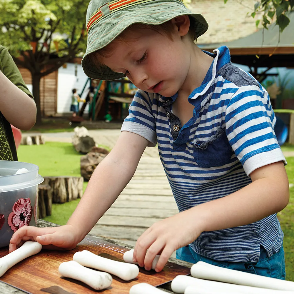 Yellow Door® Dinosaur Bones with Match & Measure Cards Exploration Set
